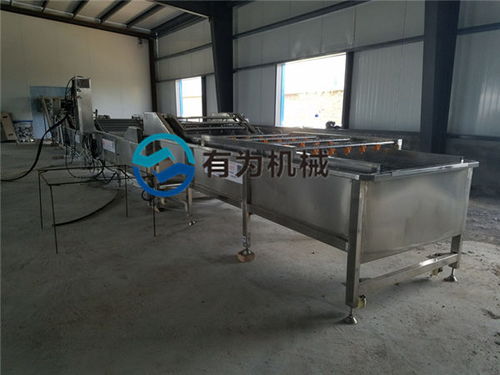 諸城有為公司 深耕蘋果清洗設(shè)備領(lǐng)域，服務(wù)海南與家用市場(chǎng)